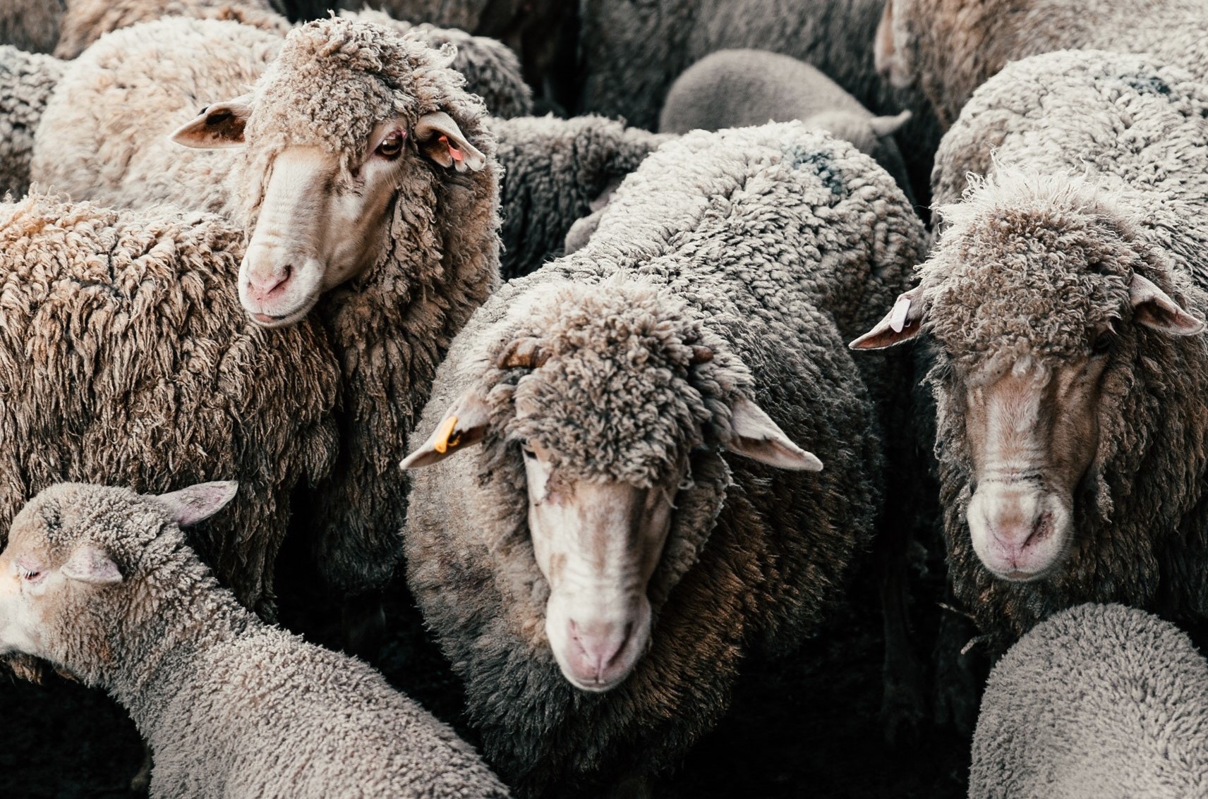 Download free bootstrap 4 admin dashboard, free boootstrap 4 templates